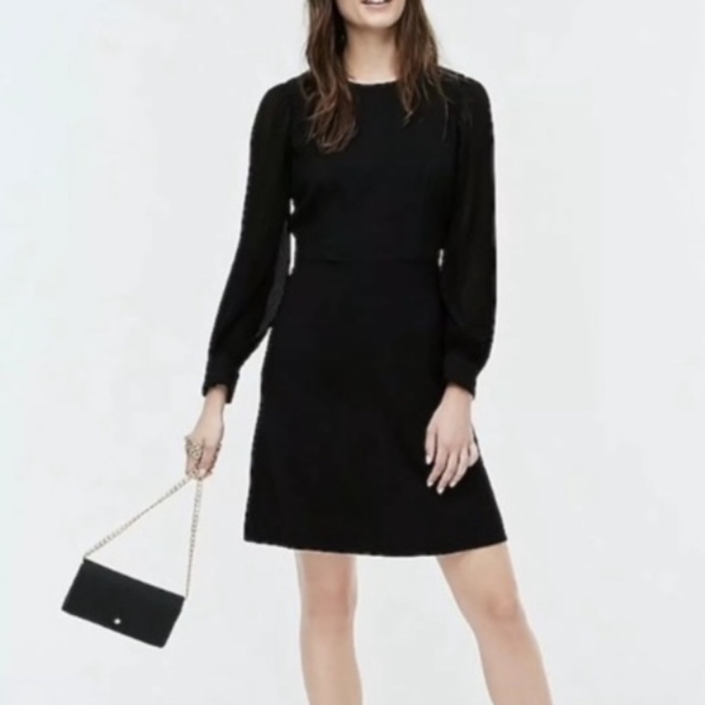 NWOT J Crew long-sleeve dress with pleated sleeves
